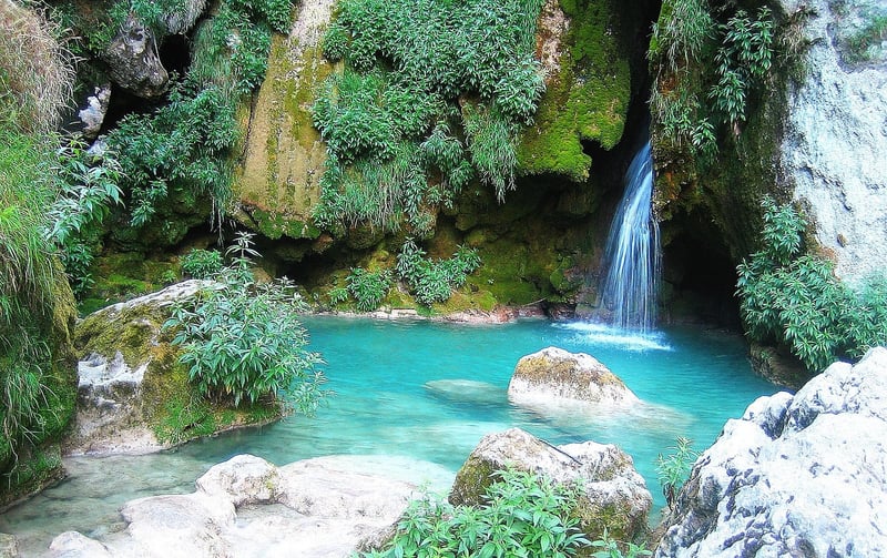 Tranquil Oasis