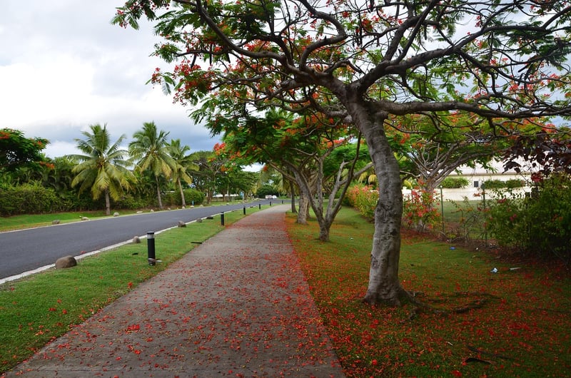 Fiji Luxury Resort