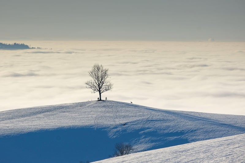 Mountain Trekking